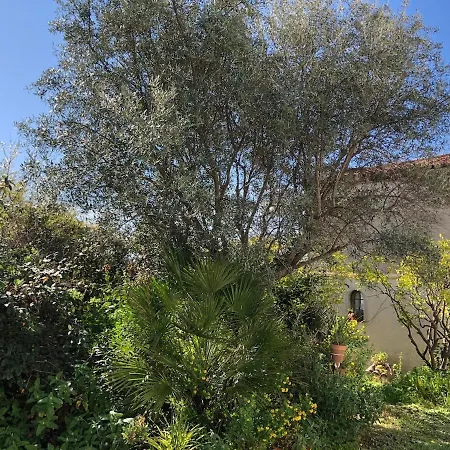 Semesterbostad Little 33M2 Detached House In Golfe-Juan Vallauris