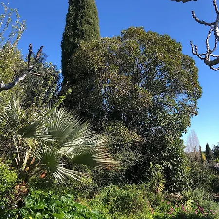 Little 33M2 Detached House In Golfe-Juan Semesterbostad